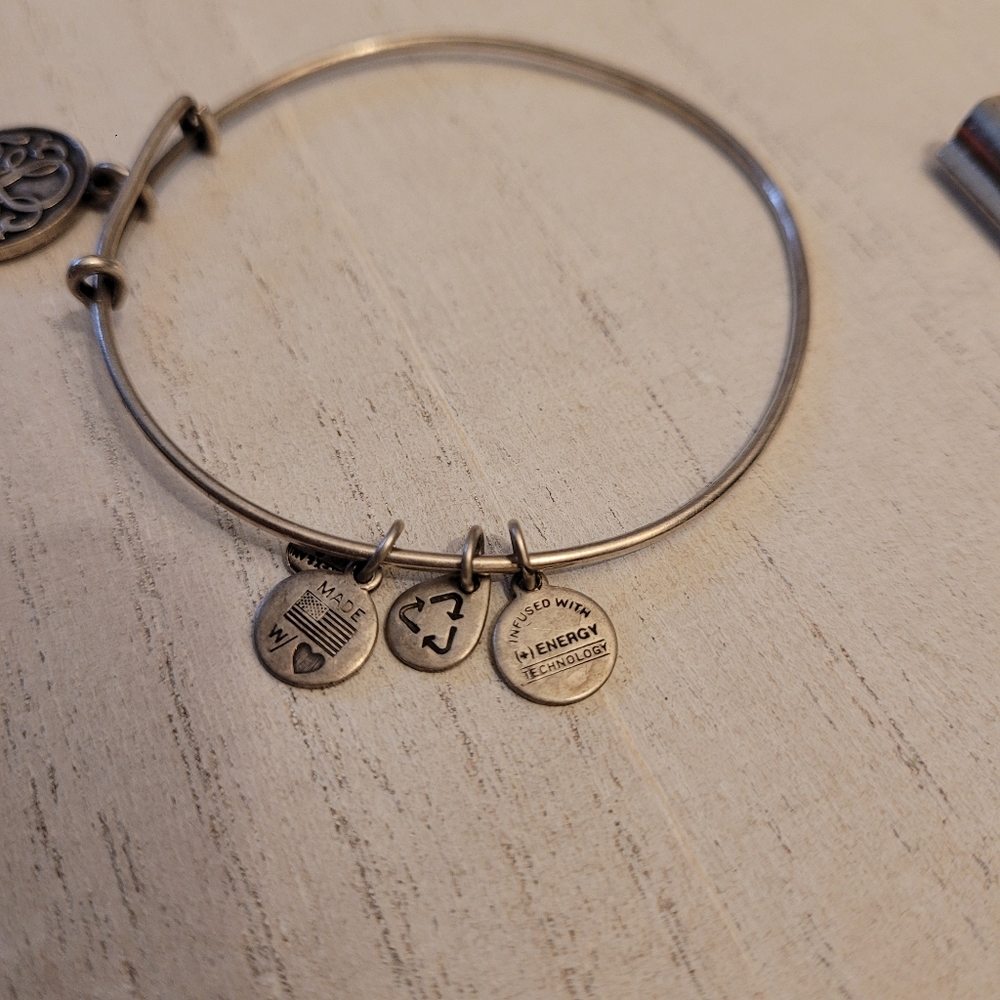 Alex & Ani 2014 Energy Infused Path of Life Bracel - Picture 5 of 13